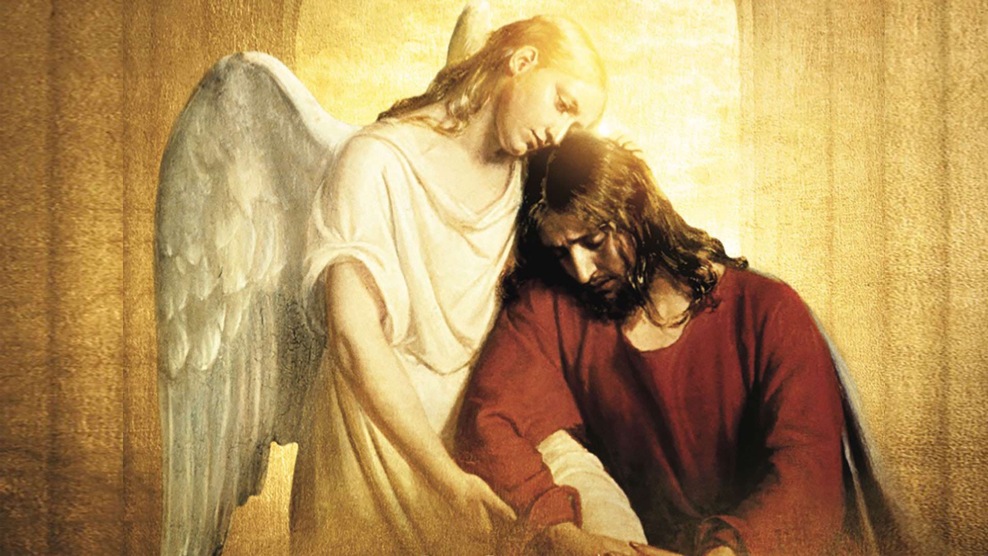 Living Scriptures Streaming