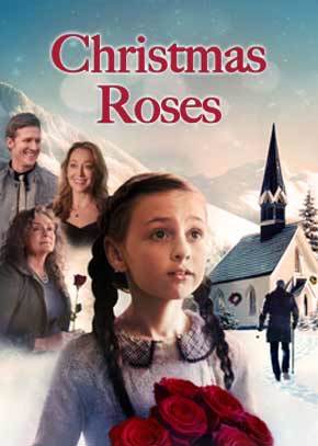 Christmas Roses