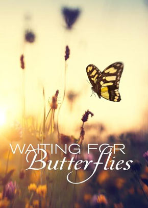 Waiting for Butterflies