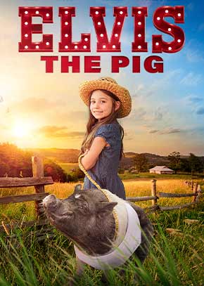 Elvis the Pig